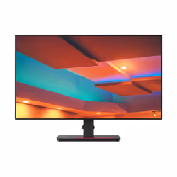 Lenovo ThinkVision P27h-20 27" 2560 x 1440 pixels Quad HD LED Noir (61E9GAT6EU)