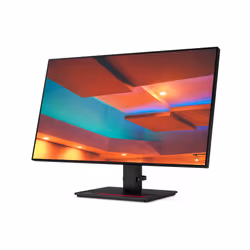 Lenovo ThinkVision P27h-20 27" 2560 x 1440 pixels Quad HD LED Noir (61E9GAT6EU) - Vue supplémentaire 8