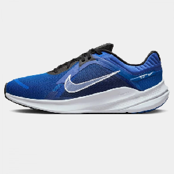 Nike Chaussures Quest 5 - DD0204-401