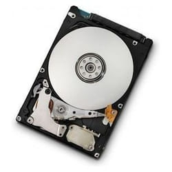 Western Digital Travelstar Z5K50 500GB 2.5" 500 Go SATA