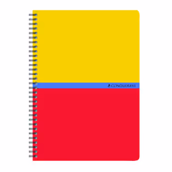 Conquerant 100105030 bloc-notes A5 180 feuilles Couleurs assorties