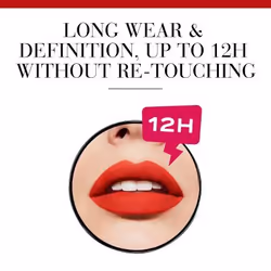 Bourjois Contour Edition teinte 09 Plum It Up! 1.14 g