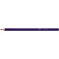 BIC 9641481 crayon de couleur 24 pièce(s)