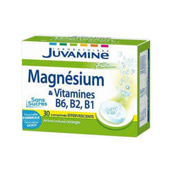 Magnésium + Vitamines B6, B2, B1 Juvamine Fizz