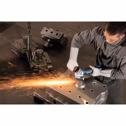Bosch GWS 17-125 CIE Professional meuleuse d'angle 12,5 cm 11500 tr/min 1700 W 2,4 kg