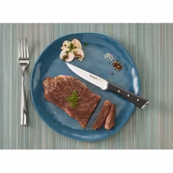 Tefal K232S4 4 pièce(s) Jeu de couteaux