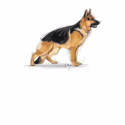 Royal Canin Maxi Adult 4 kg Adulte Légumes - Vue supplémentaire 2
