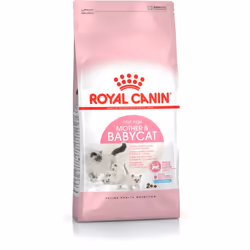 Royal Canin Mother & Babycat, 2 kg, Antioxydants inclus