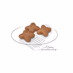 Royal Canin 3182550793124 Alimentation sèche pour chiens 800 g Adulte Maïs, Volaille