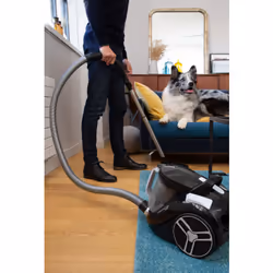 Rowenta Compact Power RO4873EA Aspirateur 2,5 L Aspirateur réservoir cylindrique Sec 550 W Sans sac