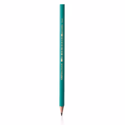 BIC 8803112, Vert, 12 pièce(s)