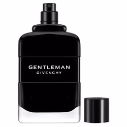 Givenchy Gentleman 100 ml Hommes - Vue supplémentaire 2