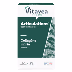 VITAVEA LEVURE DE RIZ ROUGE, 15 gélules