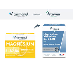 Vitarmonyl Magnésium Effervescent 24 Comprimés