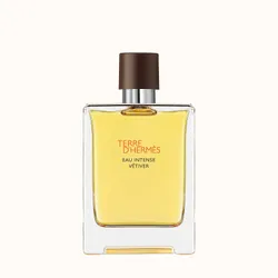 Hermes Terre d'Hermès Eau Intense Vétiver Eau de parfum 100ml