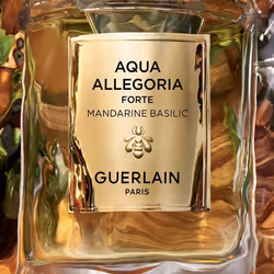 Guerlain Mandarine Basilic Forte 125 ml Femmes - Vue supplémentaire 3