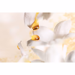 DIOR J'adore Absolu 75 ml - Vue supplémentaire 2