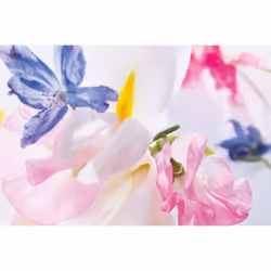 DIOR Miss Dior 100 ml - Vue supplémentaire 4