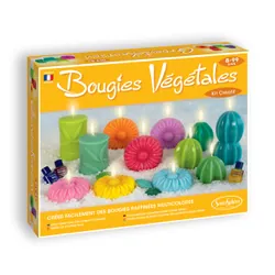 SentoSphère DIY BOUGIES VEGETALES