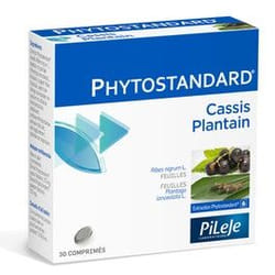 Phytostandard de Cassis et de Plantain 30 cp