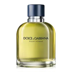 Dolce&Gabbana Pour Homme Hommes 75 ml