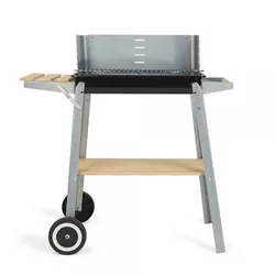 Livoo DOC244 barbecue et grill Chariot Bois de chauffage Noir, Acier inoxydable