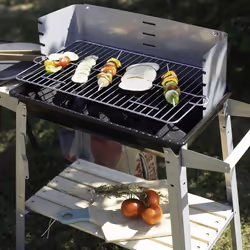Livoo DOC244 barbecue et grill Chariot Bois de chauffage Noir, Acier inoxydable