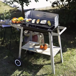 Livoo DOC244 barbecue et grill Chariot Bois de chauffage Noir, Acier inoxydable