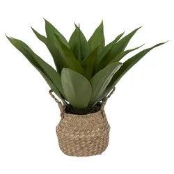 Atmosphera 189124 plante artificielle