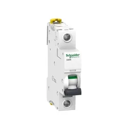 Schneider Electric iC60N coupe-circuits Type C