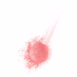 Bourjois Boite Ronde Blush 42 Fraicheur de Rose 2.5g - Vue supplémentaire 3