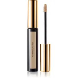 Yves Saint Laurent Encre de Peau All Hours Concealer teinte 3 Almond 5 ml