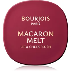 Bourjois Macaron Melt Lip & Cheek Flush teinte 05 Berry Smoothy 5 g