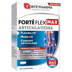 Forté Pharma Forté Flex Max Articulations 120 Comprimés