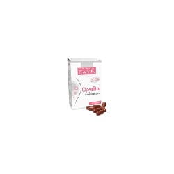 opysitol boite de 60 gélules