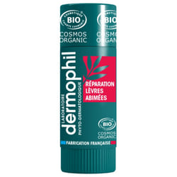 Dermophil Indien Réparation Lèvres Abîmées Bio Stick 4 g