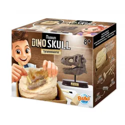 Buki Museum Skull T-rex