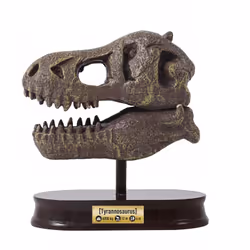 Buki Museum Skull T-rex - Vue supplémentaire 3