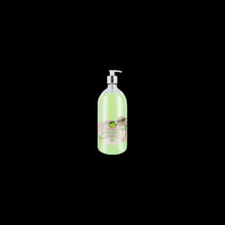 Bain de Provence Shampoing 2en1 Citron Vert 1Litre