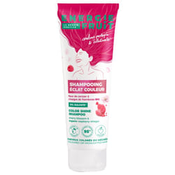 Energie Fruit Shampoing Éclat Couleur 250 ml