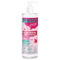 Energie Fruit Gloss Végétal Après-Shampoing Couleur 300 ml