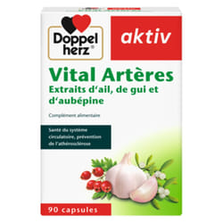 AKTIV VITAL ARTERES 90 Gélules