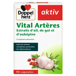 AKTIV VITAL ARTERES 90 Gélules