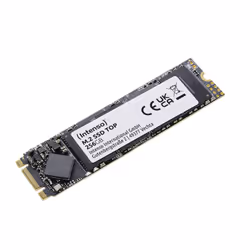 Intenso Top Performance, 256 Go, M.2, 520 Mo/s, 6 Gbit/s