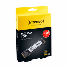Intenso Top Performance M.2 256 Go Série ATA III