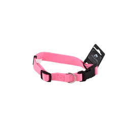 Collier FELICAN pour Chien avec motif 2 cm