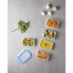 Tefal MasterSeal N10307 Rectangulaire Boîte 0,8 L Bleu, Transparent 5 pièce(s)