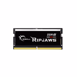 G.Skill Ripjaws F5-4800S4039A16GX1-RS, 16 Go, 1 x 16 Go, DDR5, 4800 MHz, 262-pin SO-DIMM