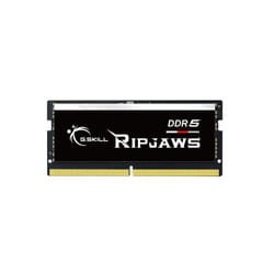 G.Skill Ripjaws F5-4800S4039A16GX1-RS module de mémoire 16 Go 1 x 16 Go DDR5 4800 MHz
