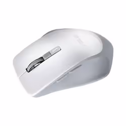 ASUS WT425 souris Droitier RF sans fil Optique 1600 DPI